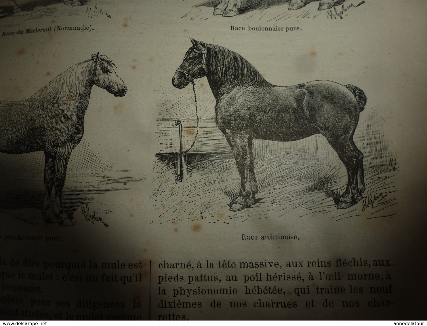 1890 Le Petit Français illustré:Alger; Les barbiers de Bobo-Dioulasou; Le cheval et les espèces; etc