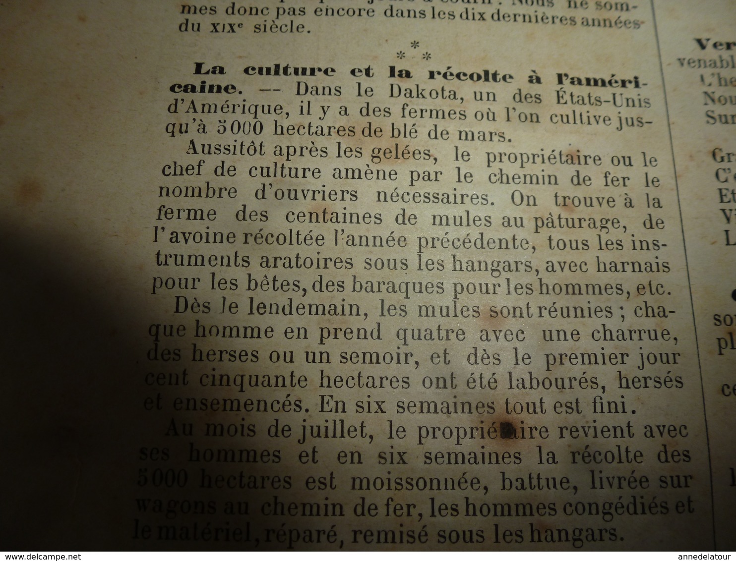 1890 Le Petit Français Illustré:A Bord De LA BRETAGNE (dessins De G. Bourgain); Le Cheval; La Marchande De Sardines; Etc - 1850 - 1899