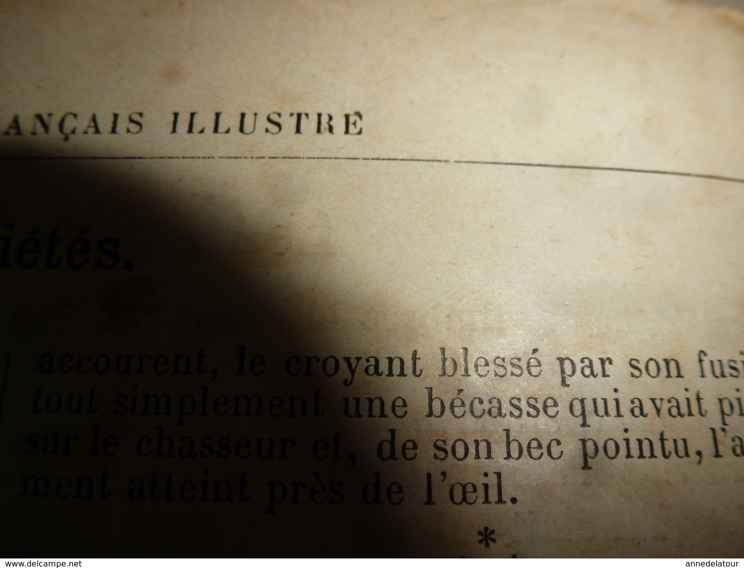 1890 Le Petit Français Illustré:A Bord De LA BRETAGNE (dessins De G. Bourgain); Le Cheval; La Marchande De Sardines; Etc - 1850 - 1899