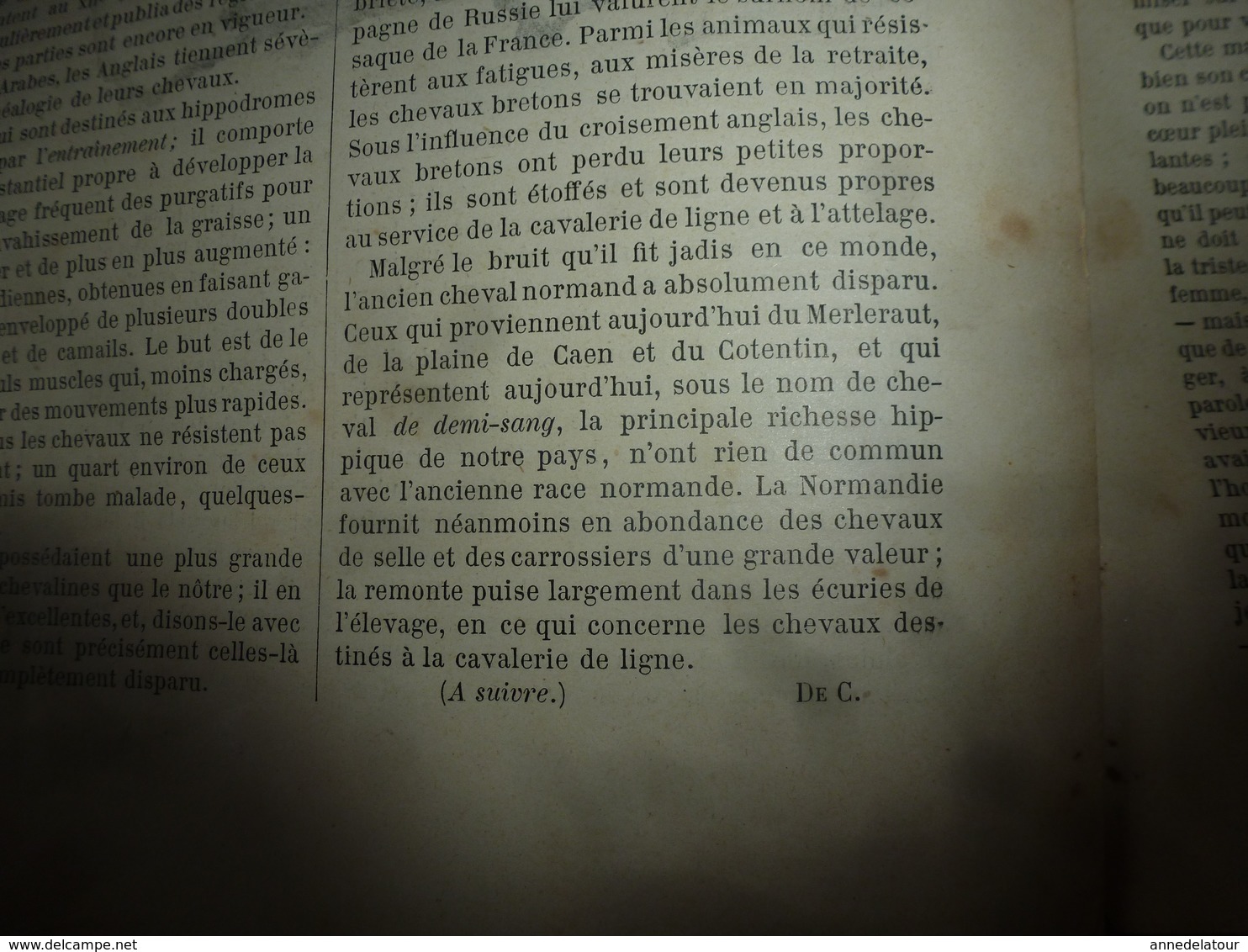 1890 Le Petit Français illustré:A bord de LA BRETAGNE (dessins de G. Bourgain); Le cheval; La marchande de sardines; etc