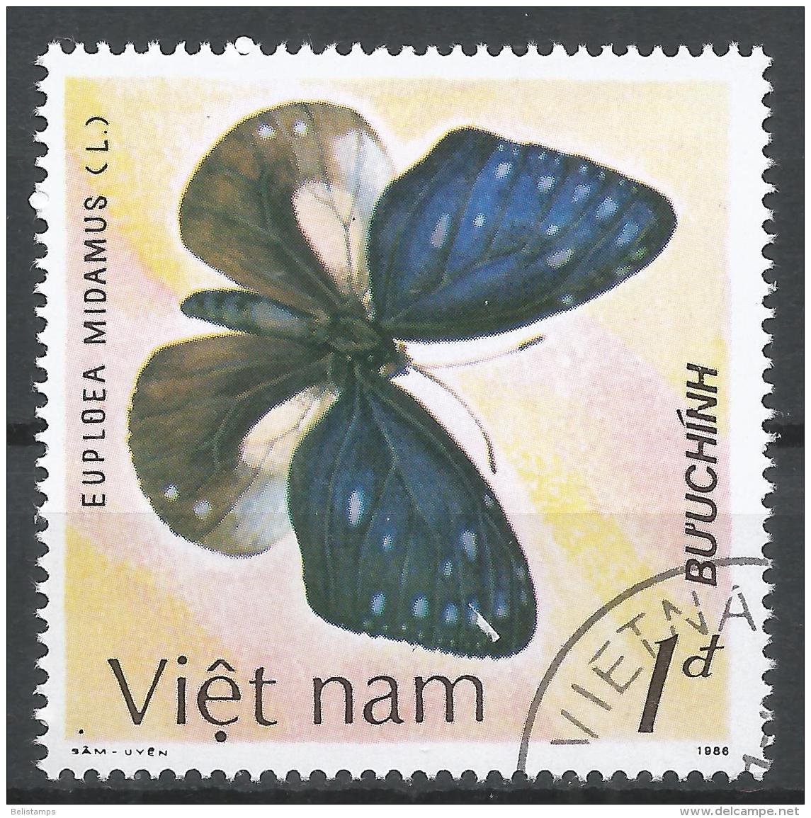 Viet Nam Democratic Republic 1987. Scott #1694 (U) Euploea Midamus, Butterfly * - Viêt-Nam