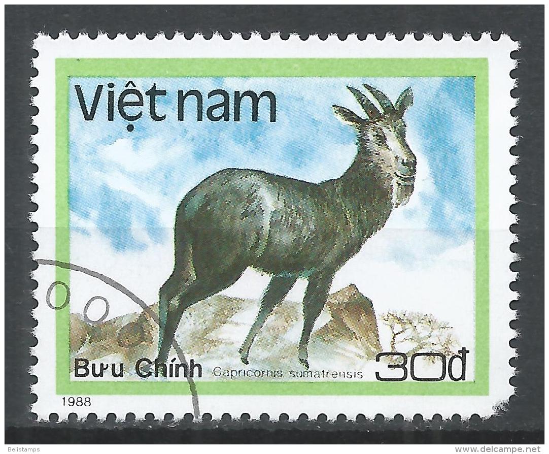 Viet Nam Democratic Republic 1988. Scott #1889 (U) Wild Animal, Capricornis Sumatrensis, Sumatran Serow * - Viêt-Nam