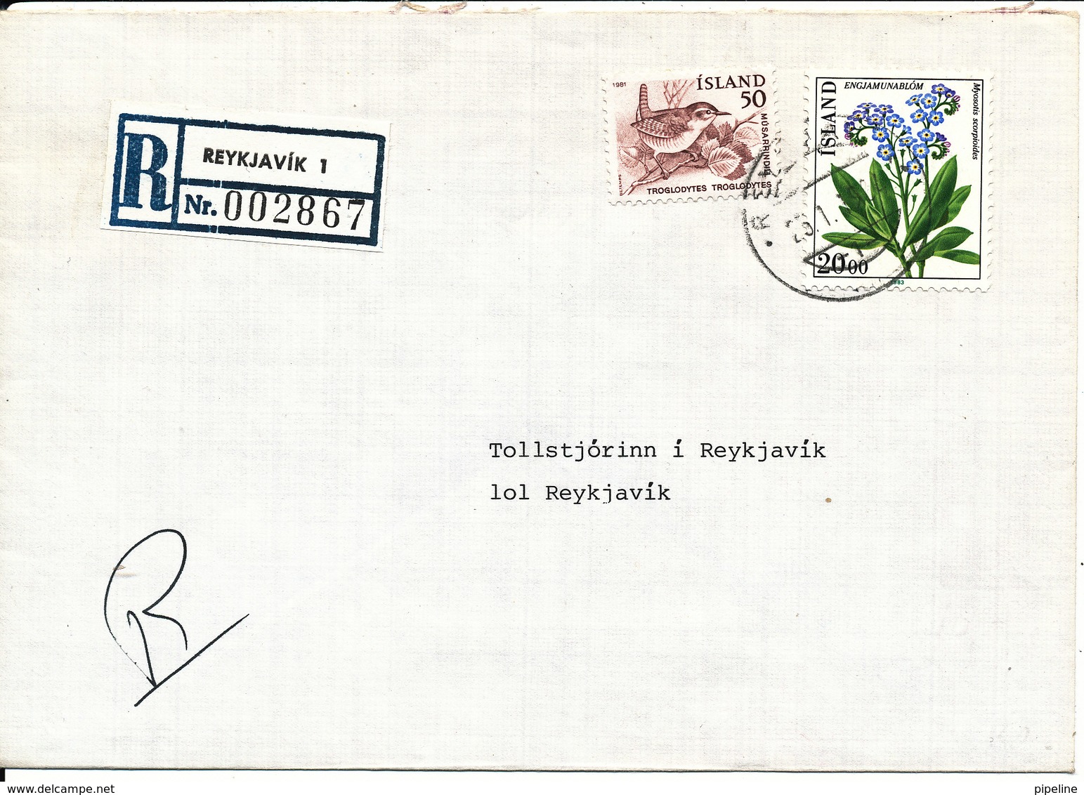 Iceland Registered Cover Reykjavik 1 25-1-1984 Flower And BIRD On The Stamps - Covers & Documents