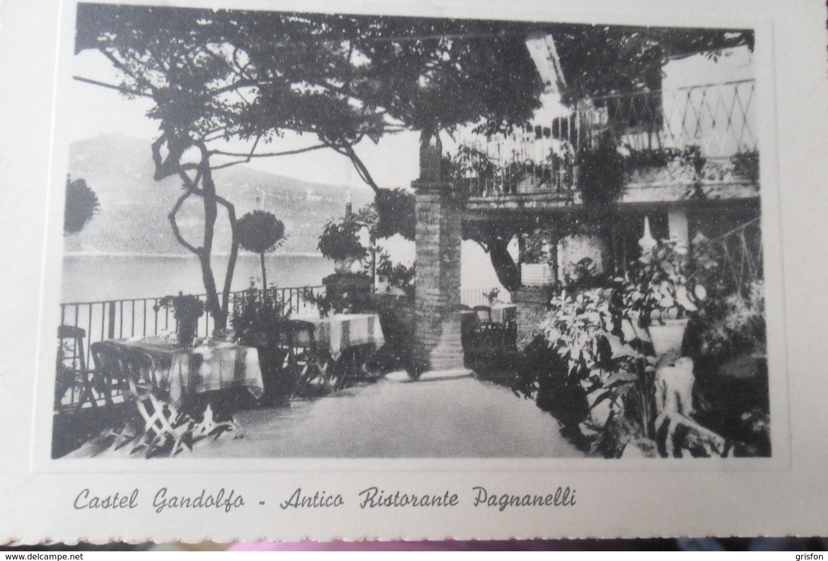 Castel Gandolfo Ristorante Pagnanelli - Altri & Non Classificati