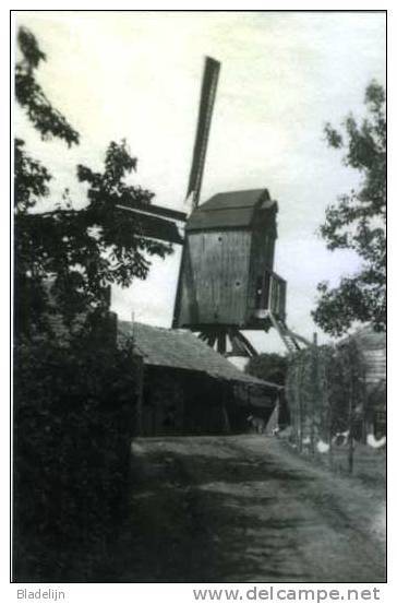 STEKENE (O.Vl.) - Molen/moulin - De Gewezen Fonteinemolen Met Volle Zeilen In Werking Omstreeks 1930 - Stekene