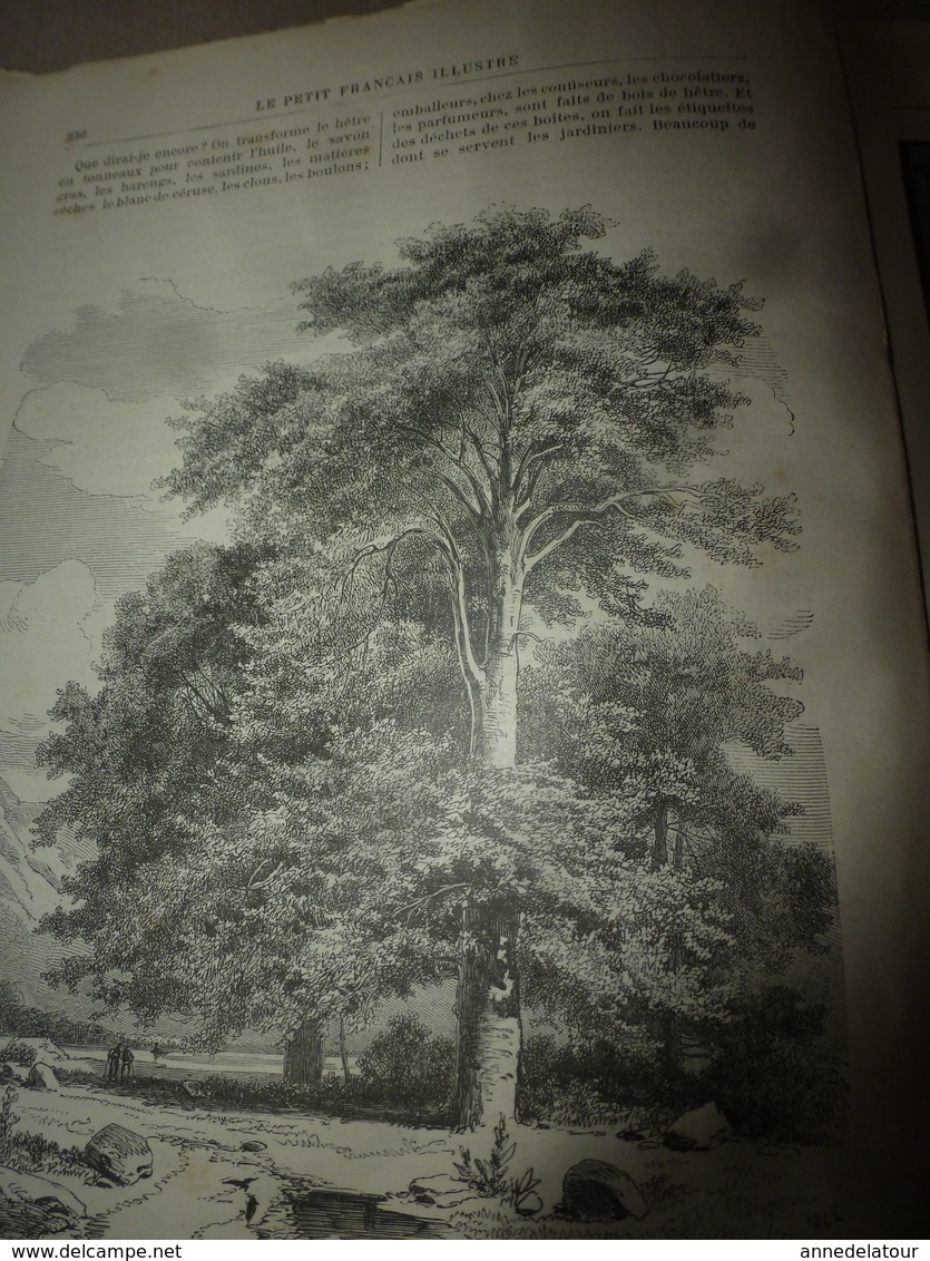 1890 Le Petit Français Illustré:Sydney; Le Hêtre,bois Aux Multiples Usages ;Le Café Protège De Certaines Maladies;etc - 1850 - 1899