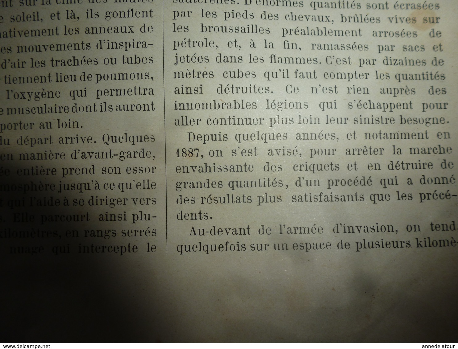 1890 Le Petit Français illustré: L'écolier chinois; Invasion -sauterelles;2 soldats du 5e Bataillon de Chasseurs à Pied