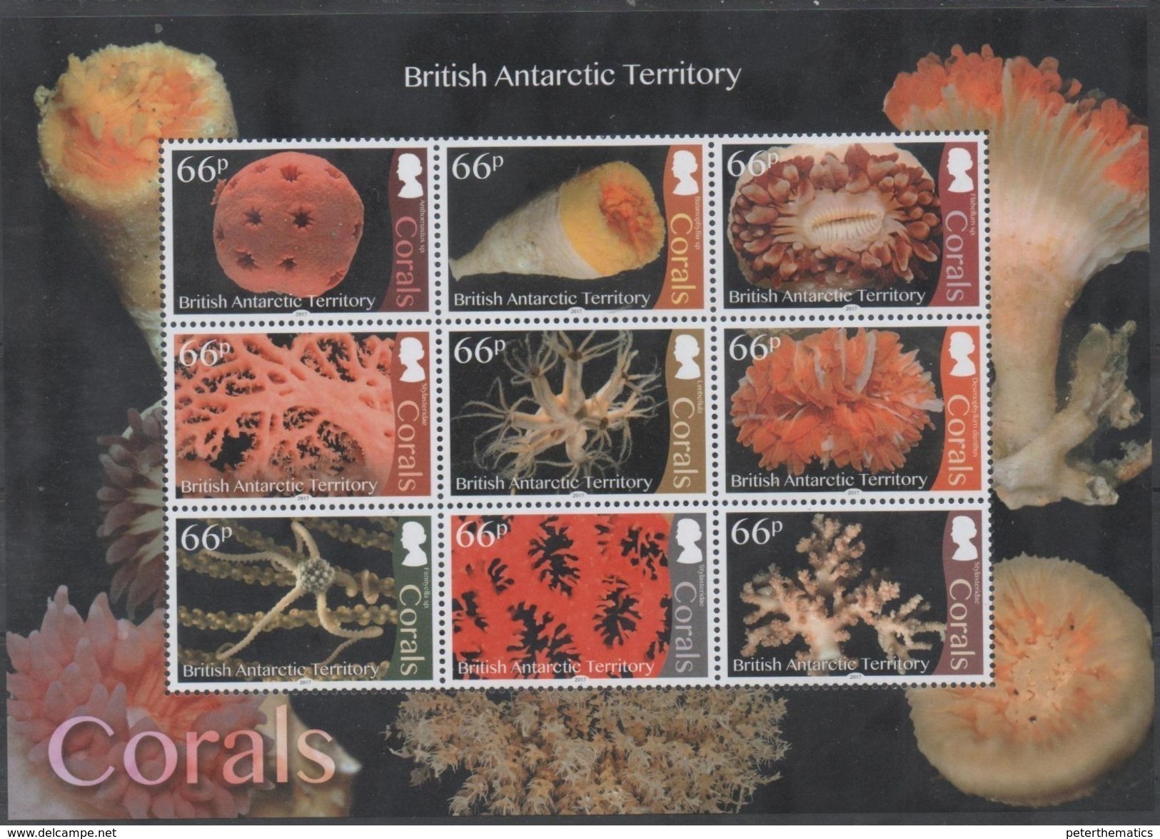 BRITISH ANTARCTIC TERRITORY, BAT,2017, MNH, MARINE LIFE, CORALS, SHEETLET OF 9v - Marine Life