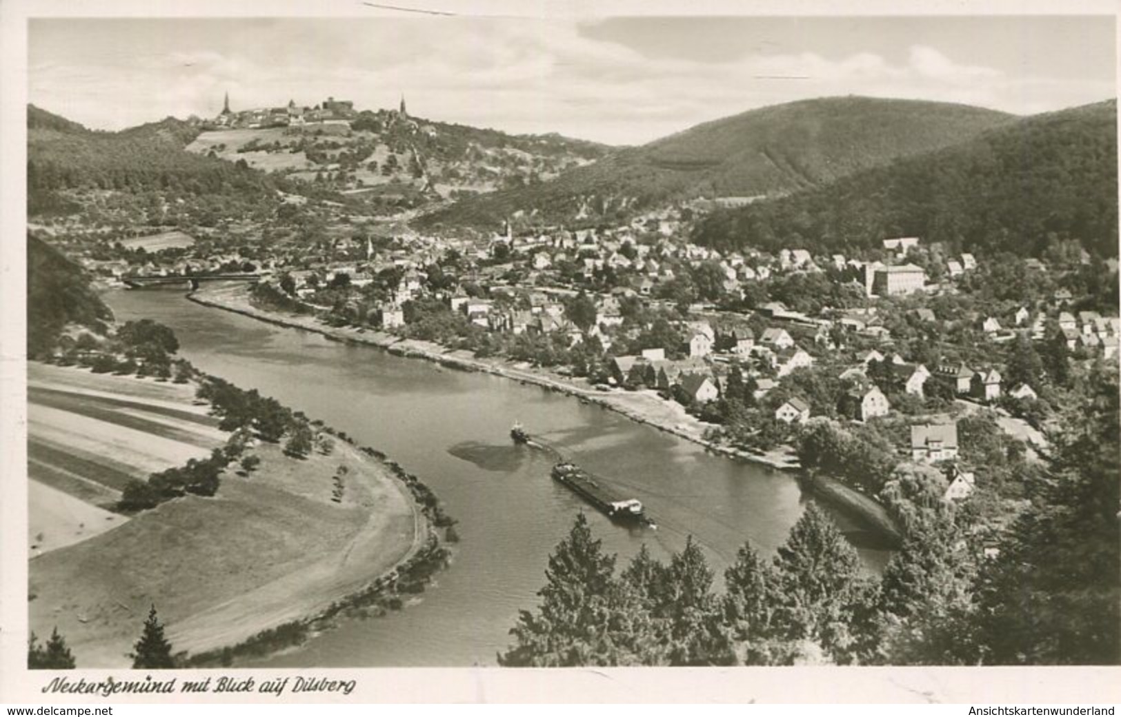 004751  Neckargemünd Mit Blick Auf Dilsberg - Neckargemünd