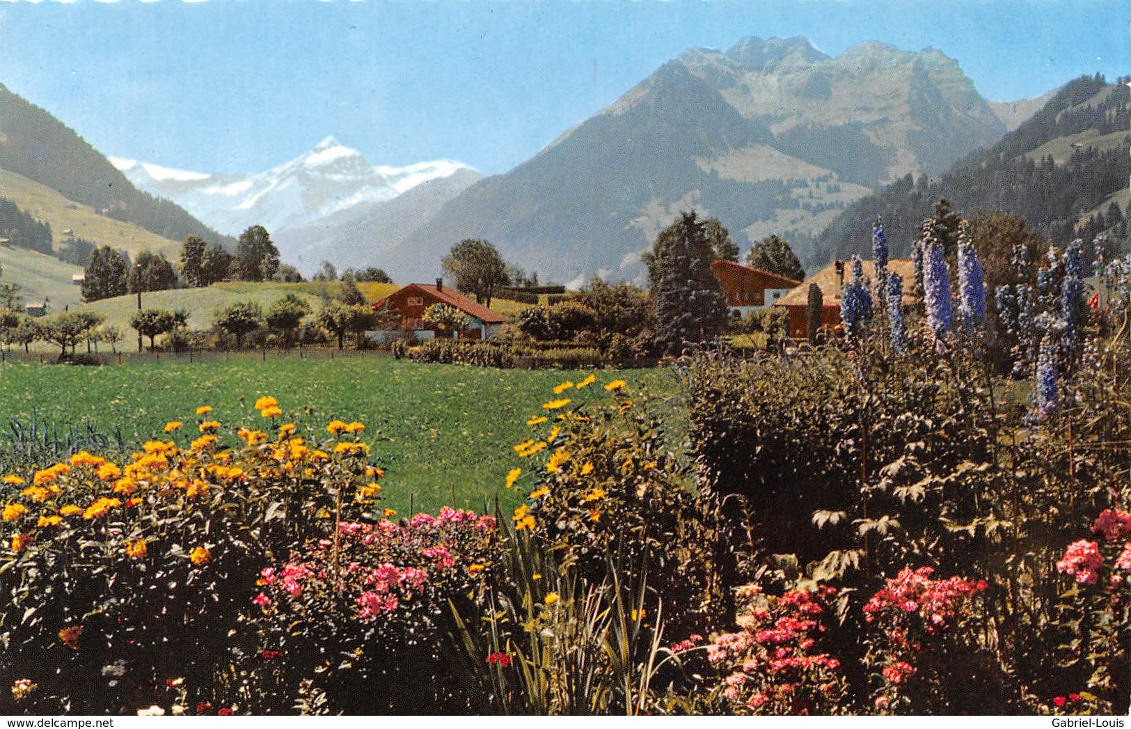 Gstaad - Oldenhorn. ( Couleur Petit Format 14 X 9 Cm ) - Non Circulé - Gstaad