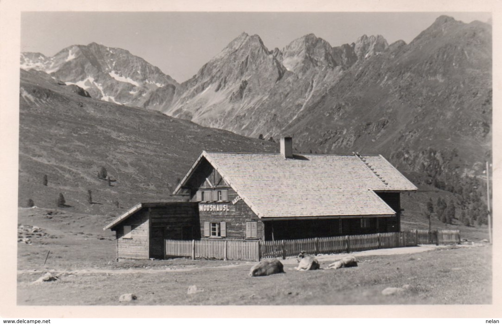 PENSION MOOSHAUSL- VIAGGIATA-1955-REAL PHOTO - Bischofswiesen