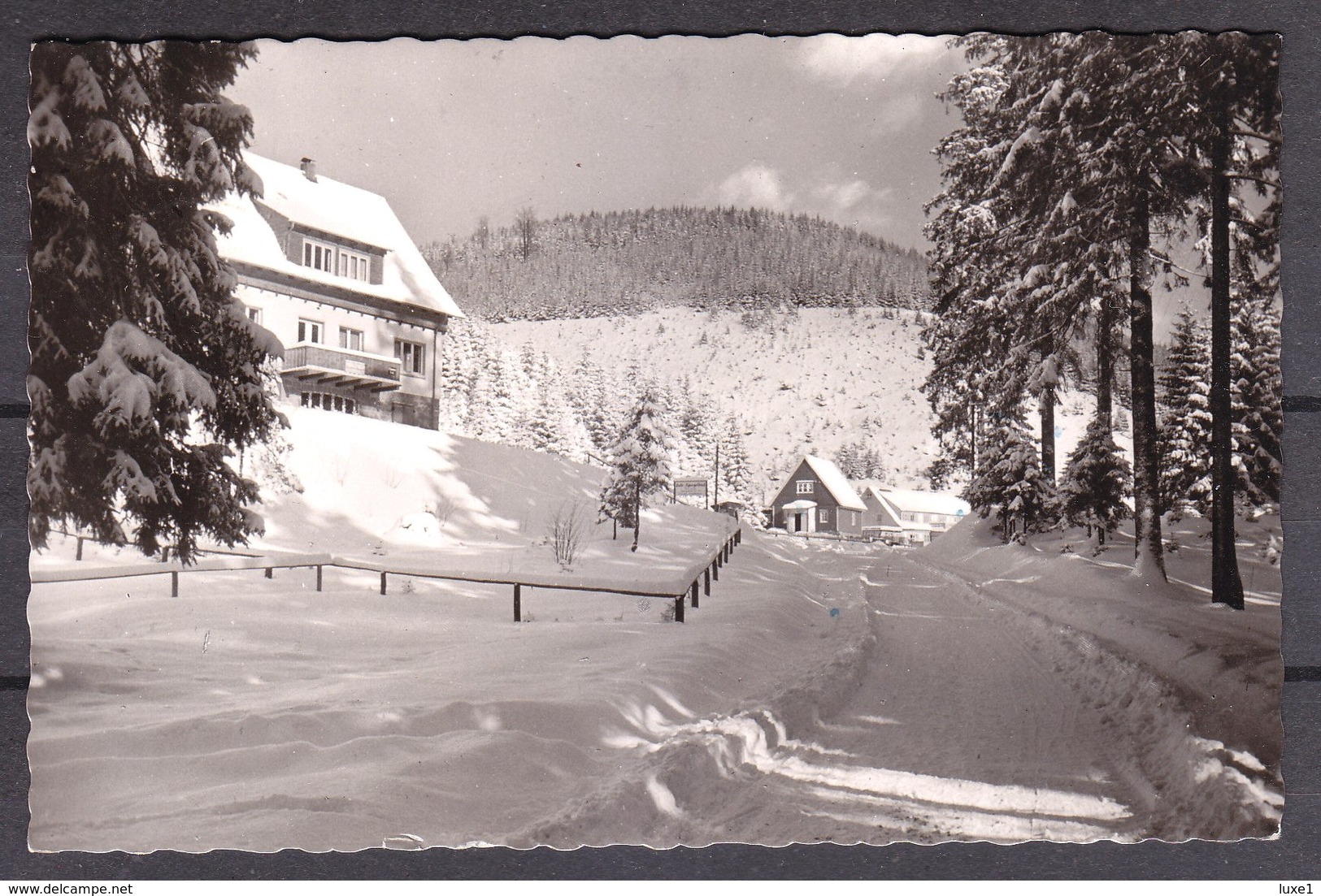 GERMANY  , Wildemann , OLD  POSTCARD - Wildemann