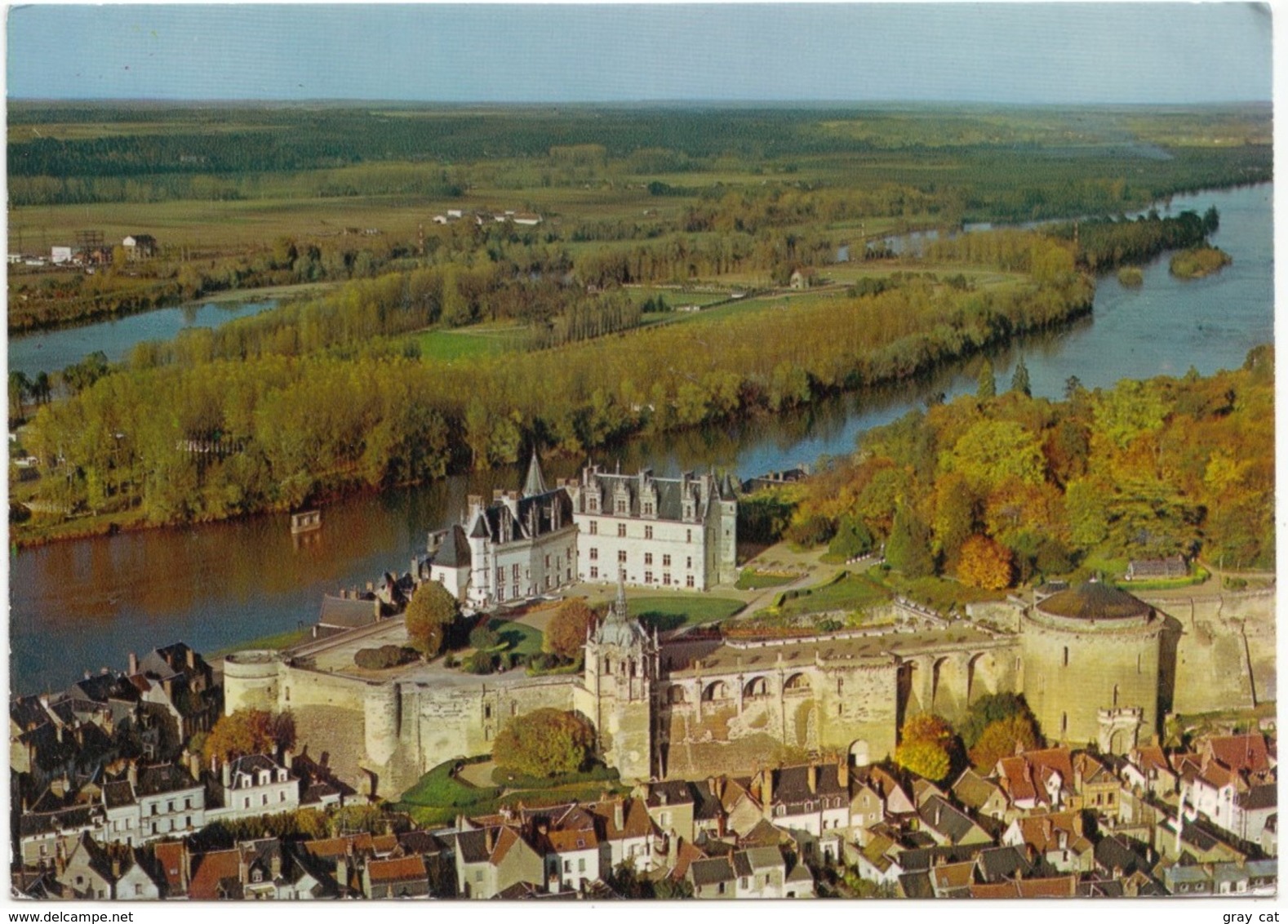 AMBOISE, Le Chateau Et La Loire, France,  1979 Used Postcard [21524] - Amboise