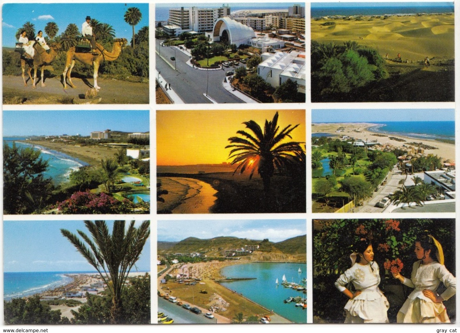 Spain, Souvenir De Gran Canaria, 1979 Used Postcard [21528] - Gran Canaria