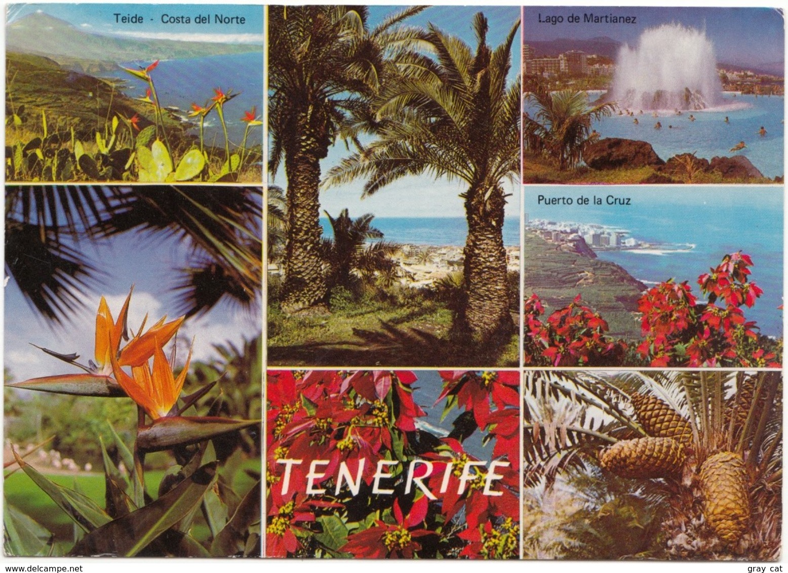 TENERIFE, Spain, Multi View, Used Postcard [21529] - Tenerife