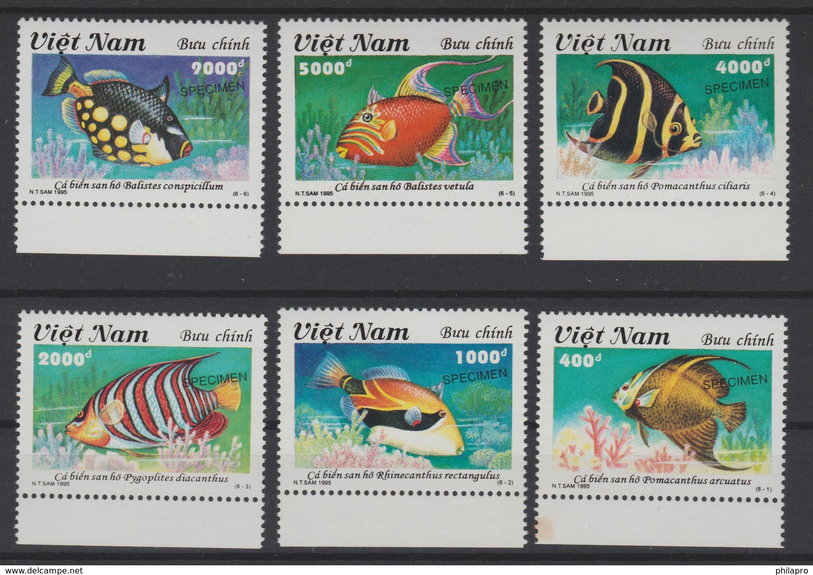 VIETNAM  1995  Ovpt :  SPECIMEN   FISH / POISSON  **MNH  Réf  95D - Viêt-Nam