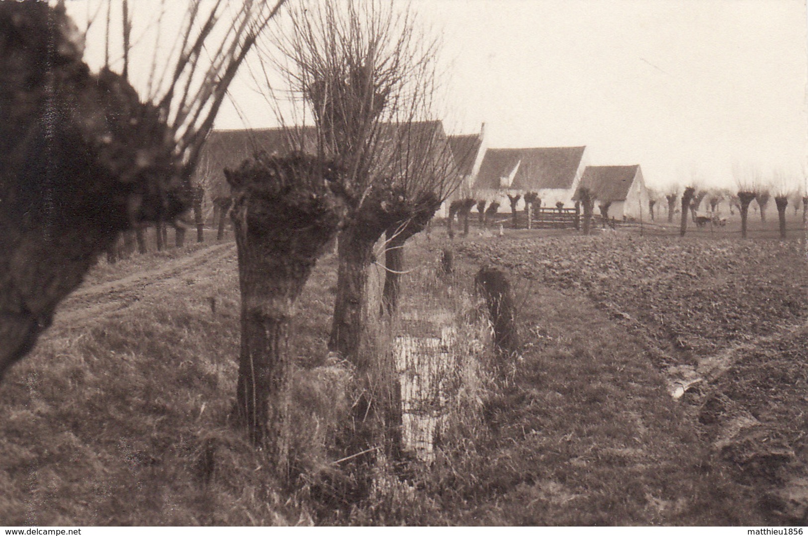 Photo 1915 DAMME - Une Vue (A196, Ww1, Wk 1) - Damme