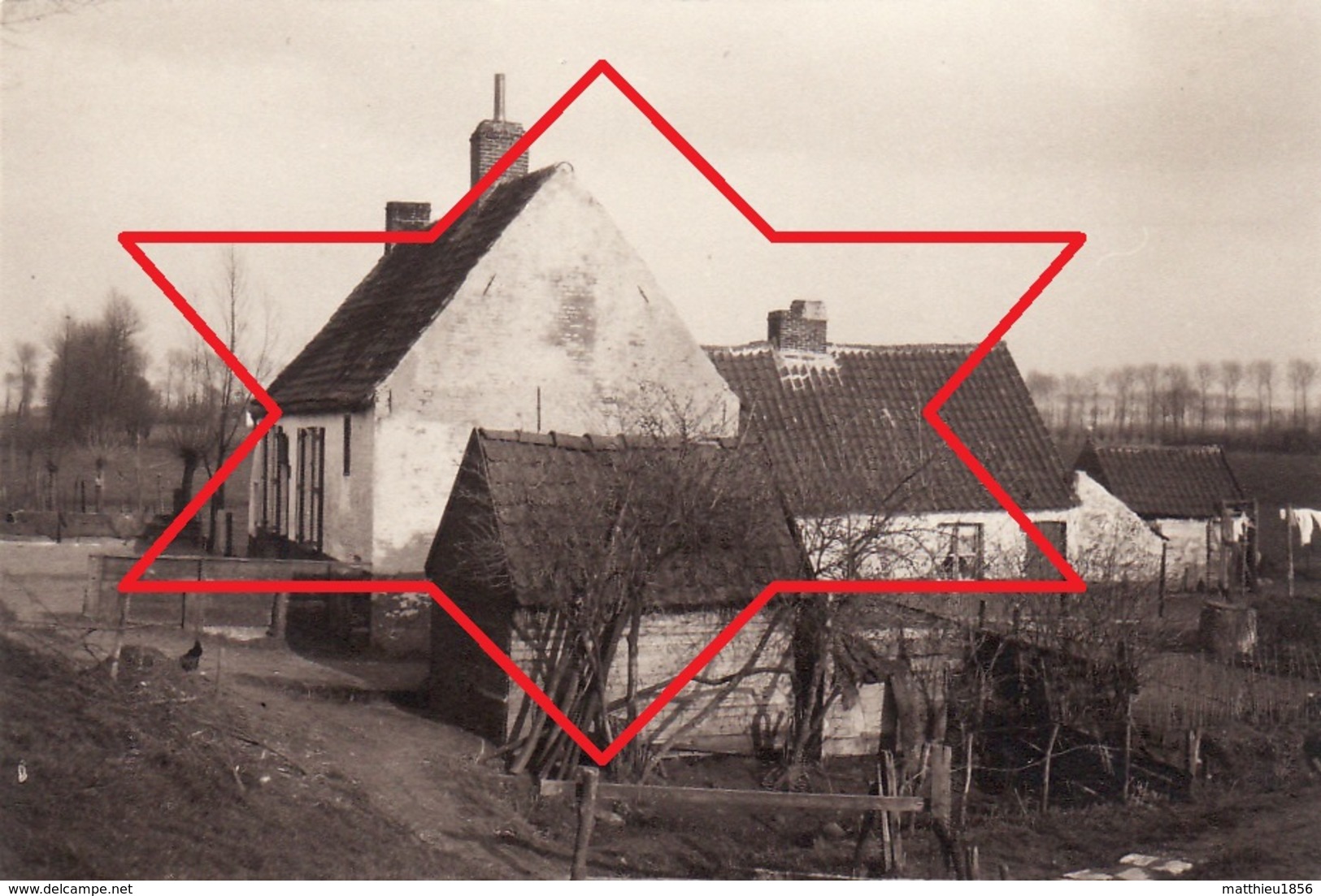 Photo 1915 DAMME - Une Maison (A196, Ww1, Wk 1) - Damme