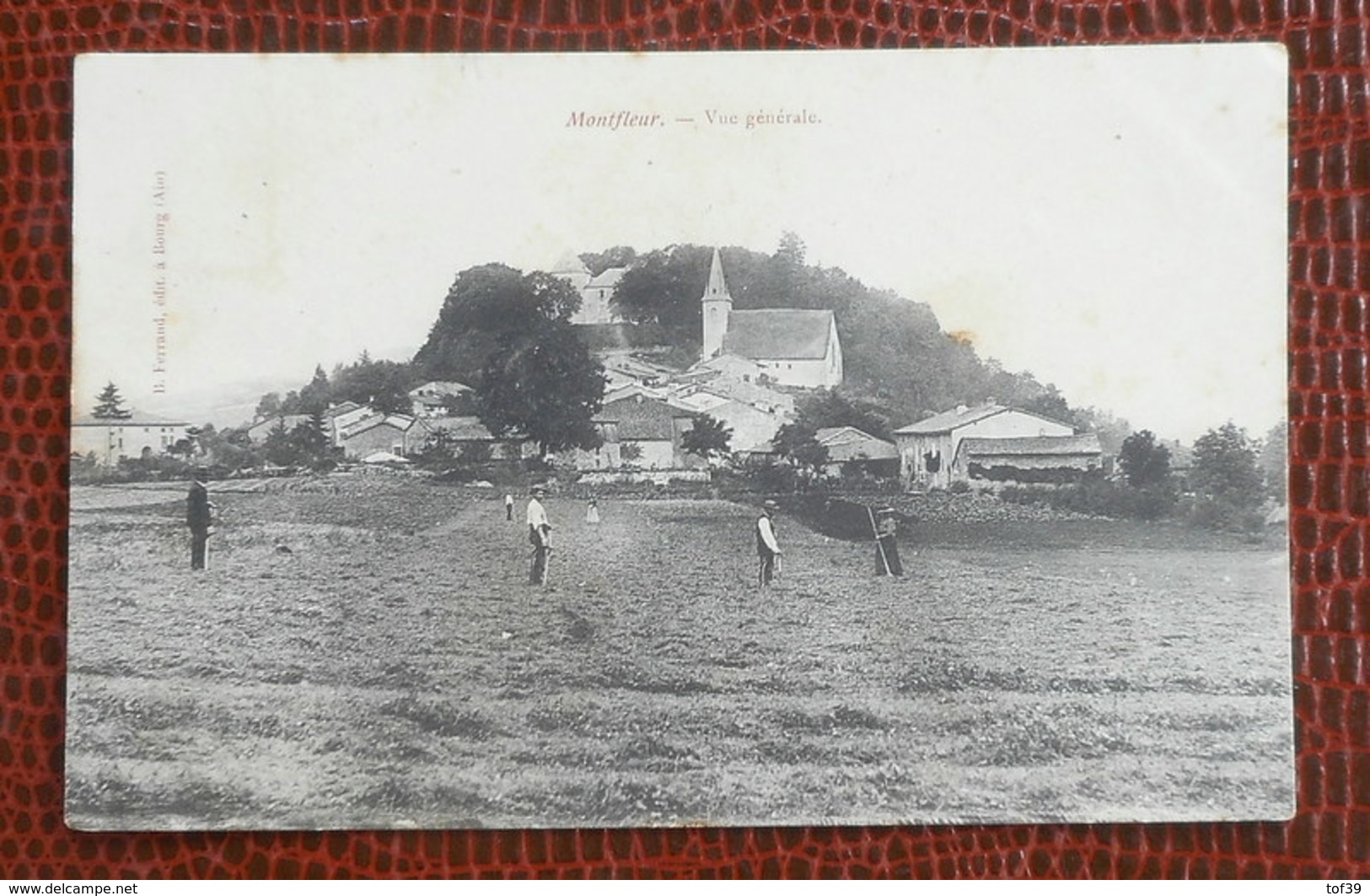 39 Montfleur - Vue Générale - Autres & Non Classés