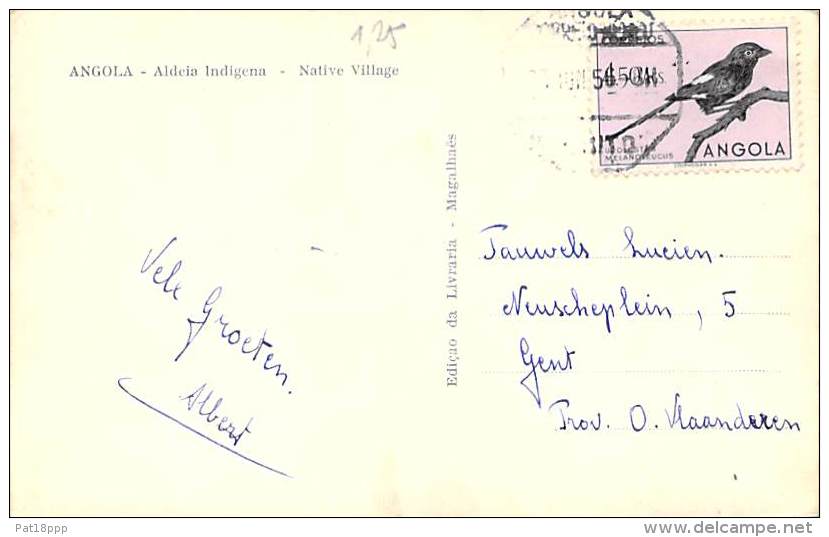 ANGOLA -  Aldeia Indigena - Native Village - CPSM Colorisée Dentelée Format CPA - Afrique Noire - Black Africa - Angola