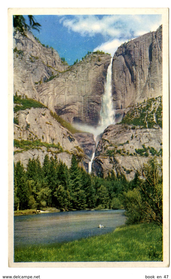 {17105} U S A Californie Yosemite Falls.  " En Baisse " - Yosemite