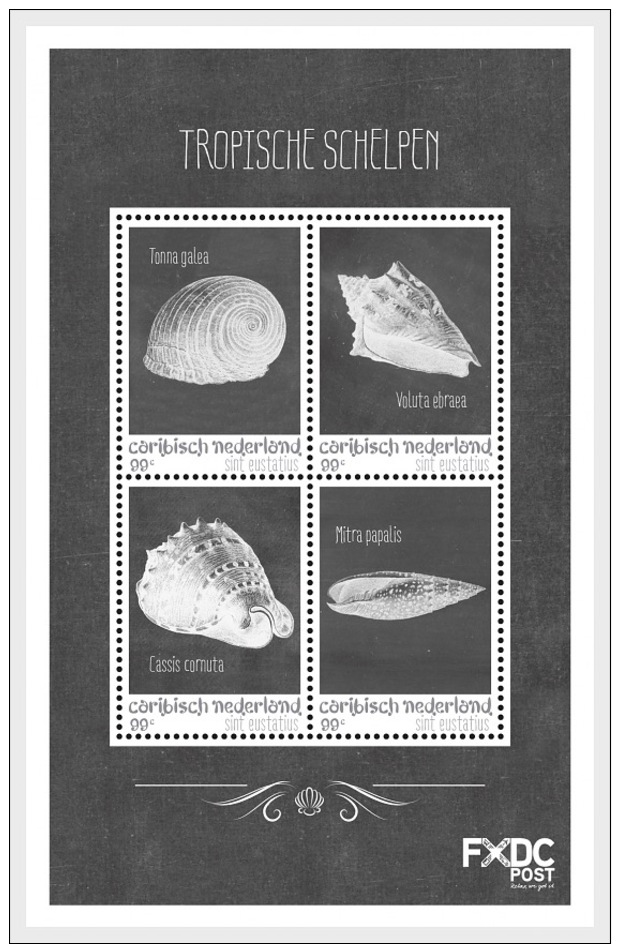 H01 Caribbean Netherlands 2018 Shells Black White MNH Postfrisch - Curaçao, Antille Olandesi, Aruba