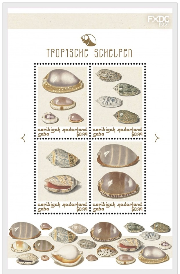 H01 Caribbean Netherlands 2018 Shells Colour Saba MNH Postfrisch - Niederländische Antillen, Curaçao, Aruba