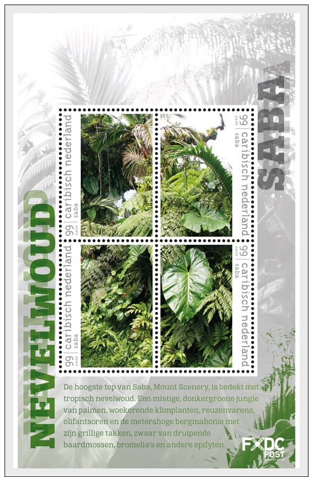 H01 Caribbean Netherlands 2018 Mist Forest Saba MNH Postfrisch - Curaçao, Antille Olandesi, Aruba