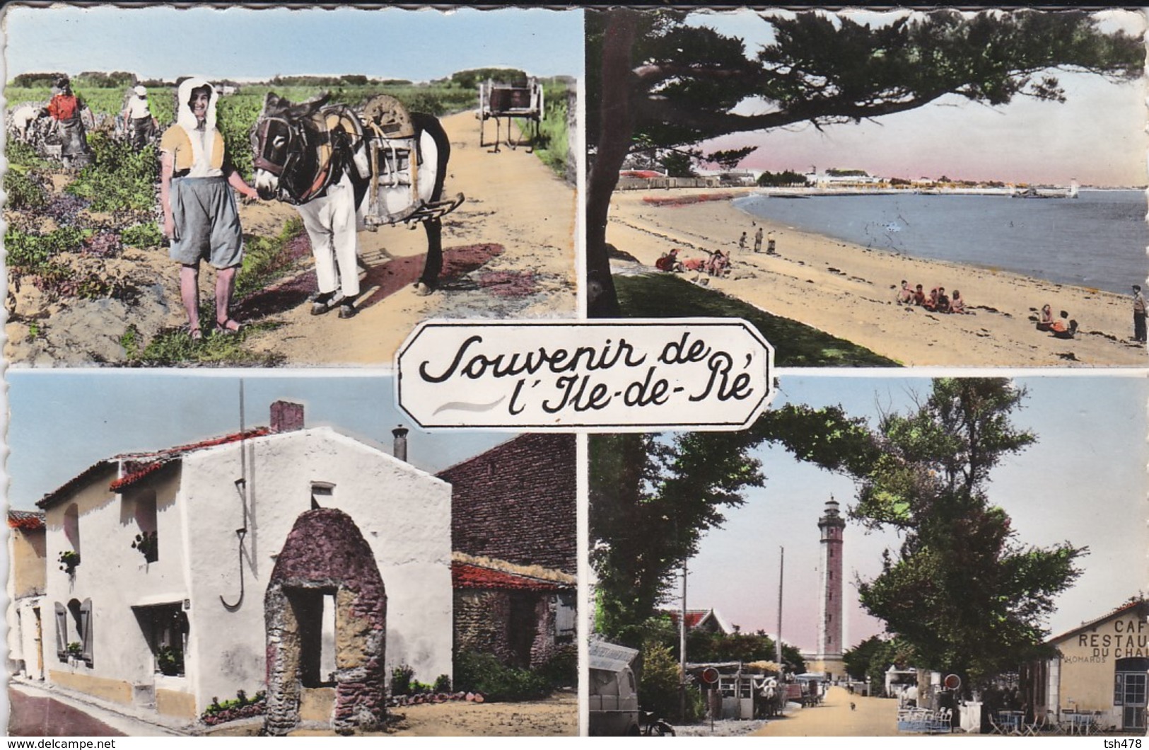 17-----SOUVENIR DE L'ILE DE RE---multivues---voir  2 Scans - Ile De Ré