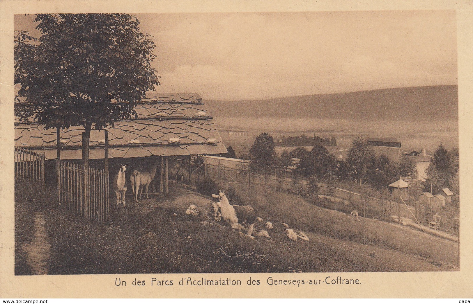 Un Parc D'Acclimatation Des Geneveys-sur-Coffrane - Geneveys
