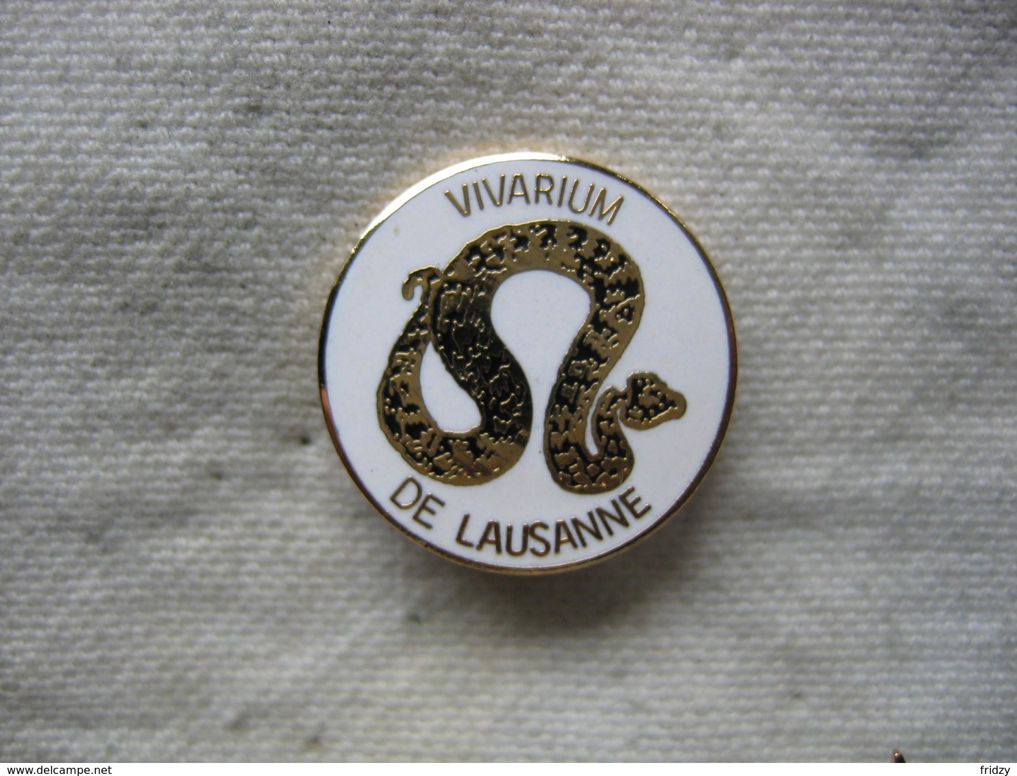 Pin's Du Vivarium Da LAUSANNE En Suisse - Animaux