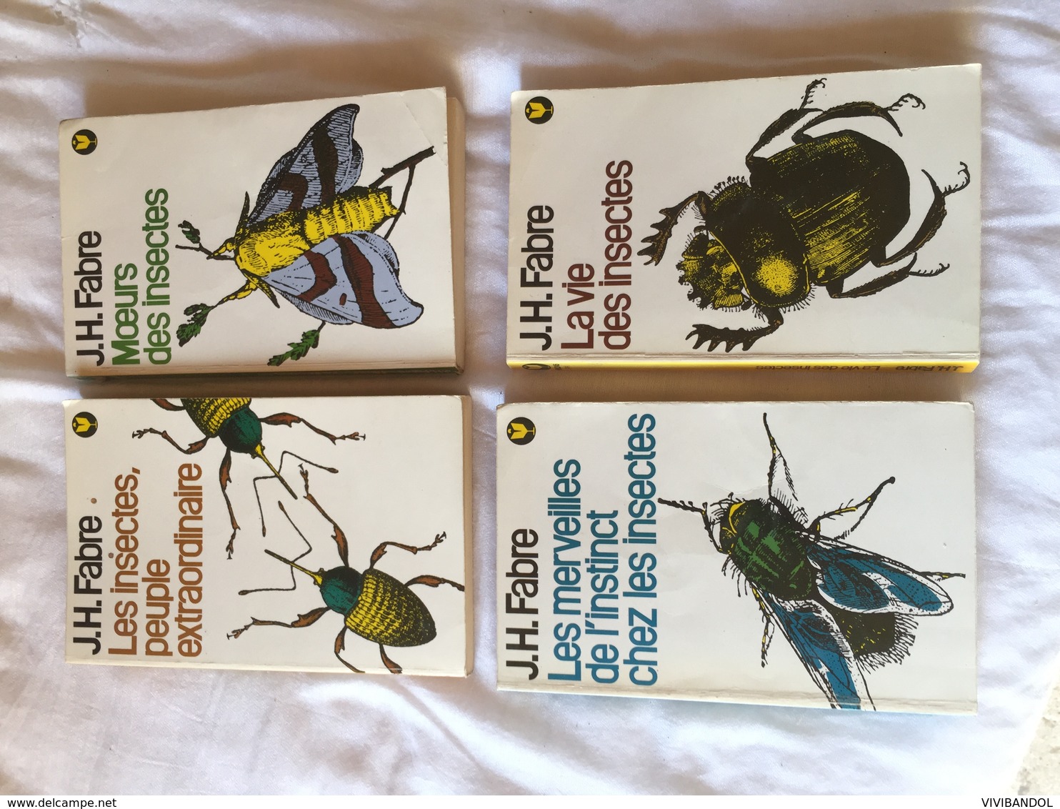 Livres INSECTES - Animaux