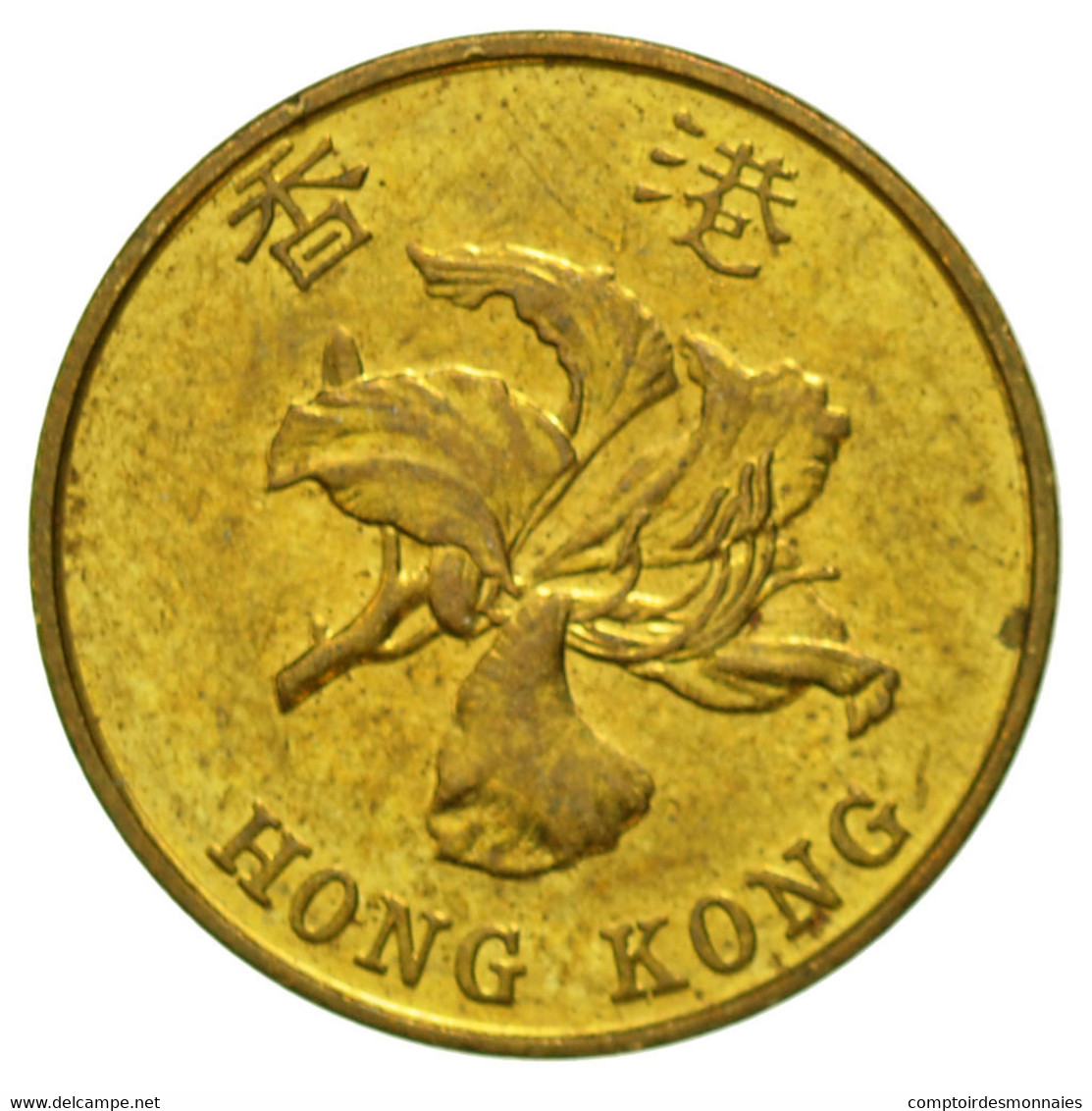 Monnaie, Hong Kong, Elizabeth II, 10 Cents, 1994, TTB, Brass Plated Steel, KM:66 - Hong Kong