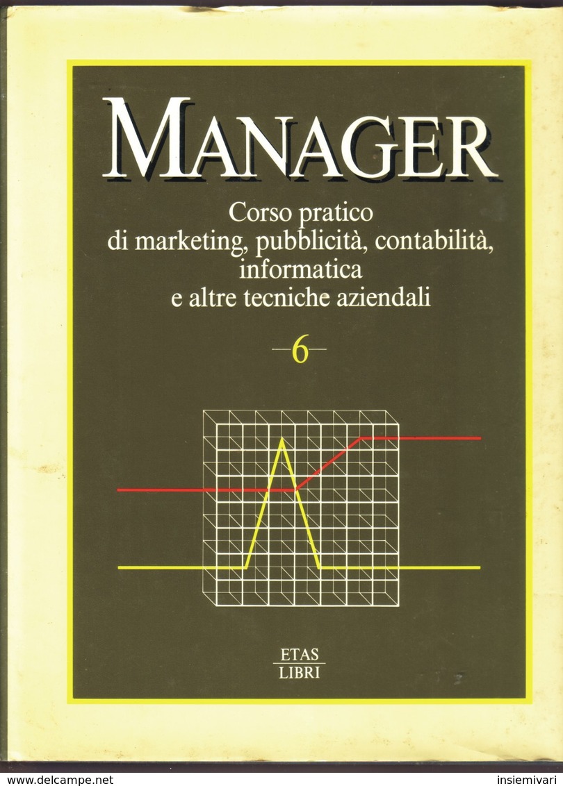 Manager. Corso Pratico Di Marketing, Pubblicità, Contabilità, Informatica.Vol.6. - Recht Und Wirtschaft