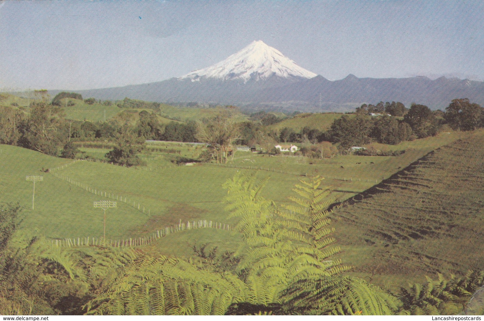 Postcard Mt Egmont New Plymouth New Zealand My Ref  B22759 - Nieuw-Zeeland