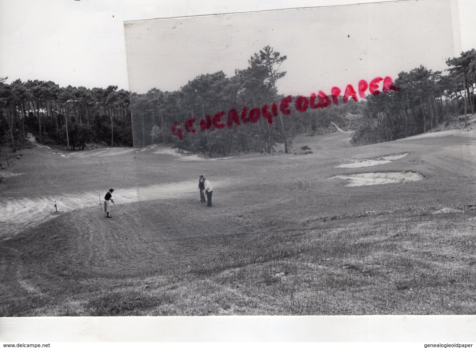 17- ROYAN- LE GOLF POUR UNE FORET PLANTEE DE VIEUX CHENES- RARE PHOTO ORIGINALE MAX PERAUDEAU -133 AVENUE REGAZZONI - Sport