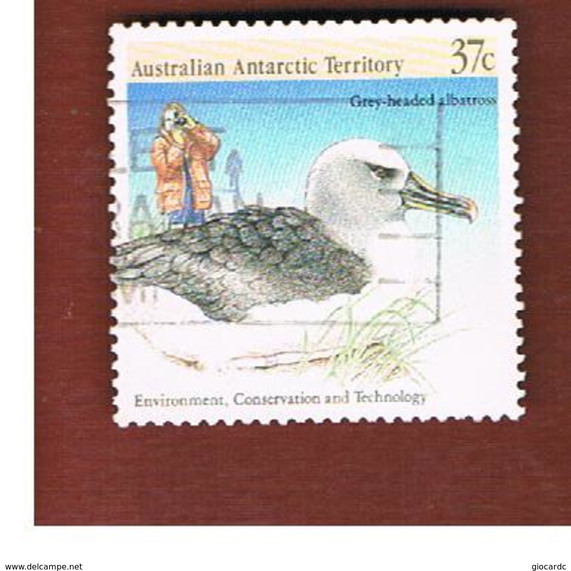 AAT AUSTRALIAN ANTARCTIC TERRITORY - SG 83 - 1988 BIRDS: ALBATROSS  -  USED - Usati