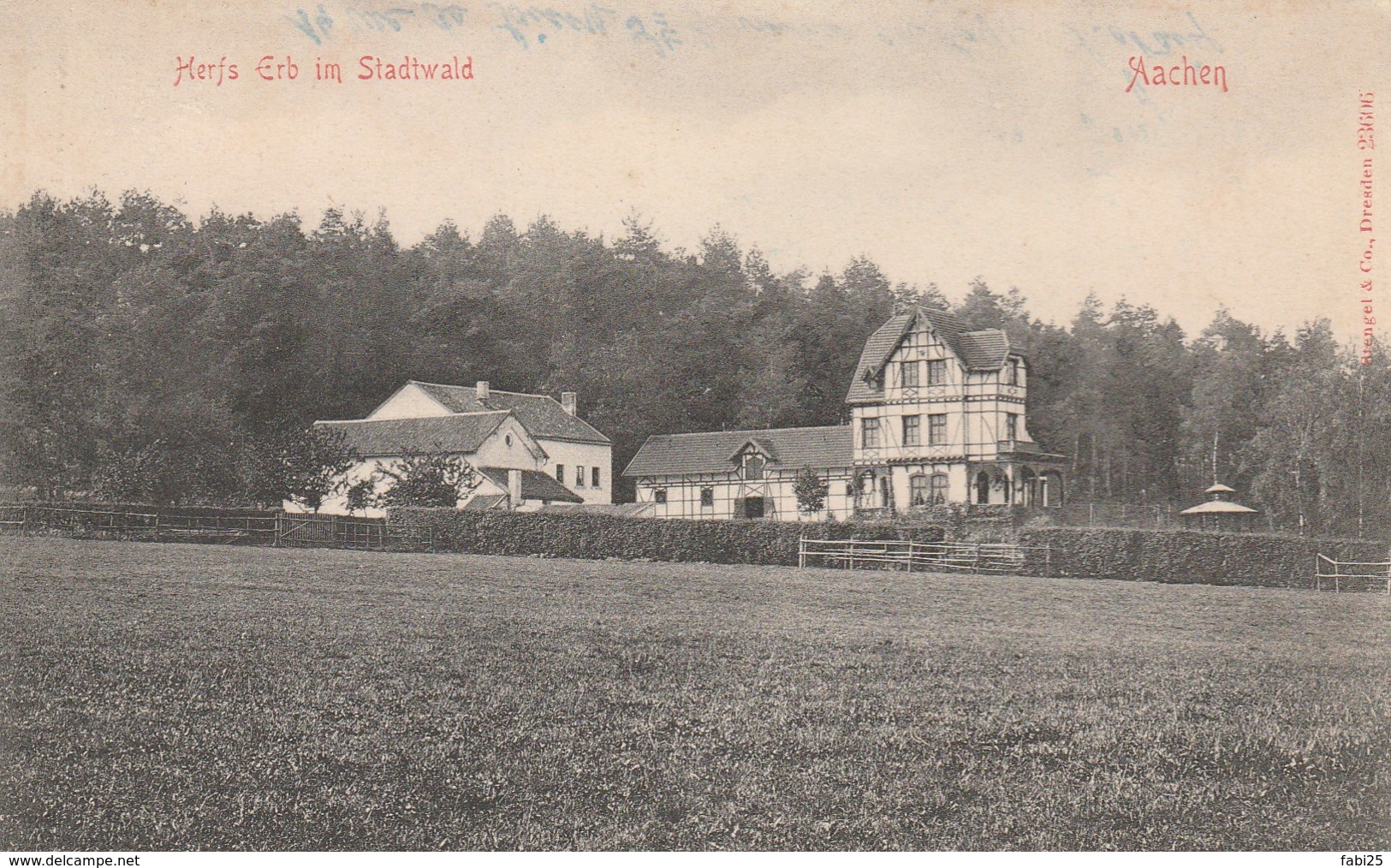 AACHEN HERFS ERB IM STADTWALD - Aachen