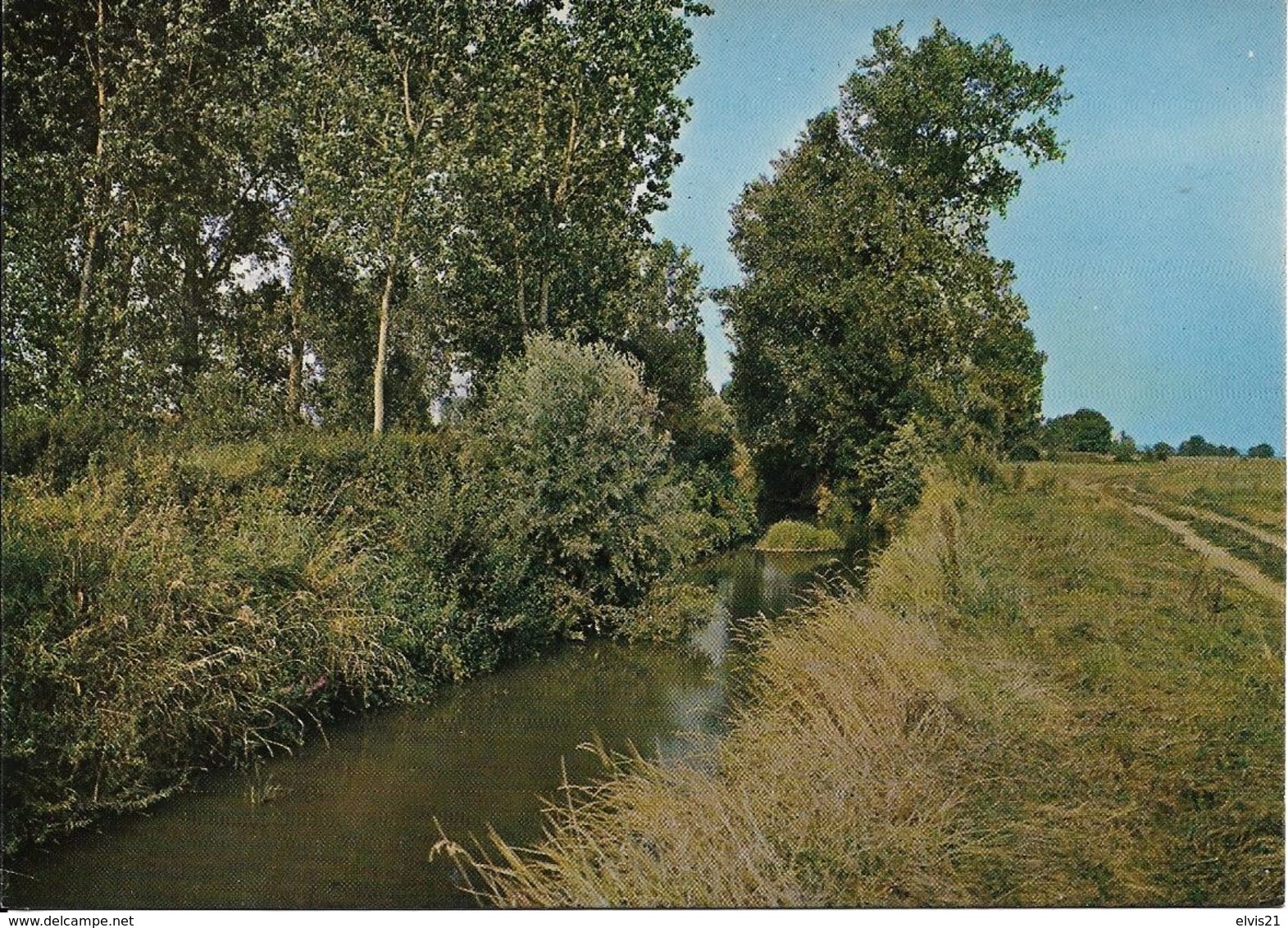 DEMIGNY Les Bords De La Dheune - Autres & Non Classés