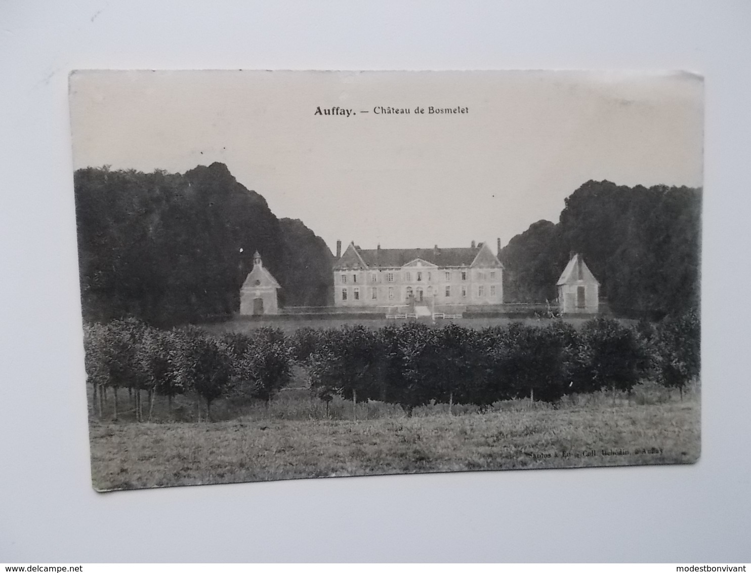 CPA 76 - AUFFAY, Château De Bosmelet  - Carte Originale NO REPRO, Dos Divisé - Auffay