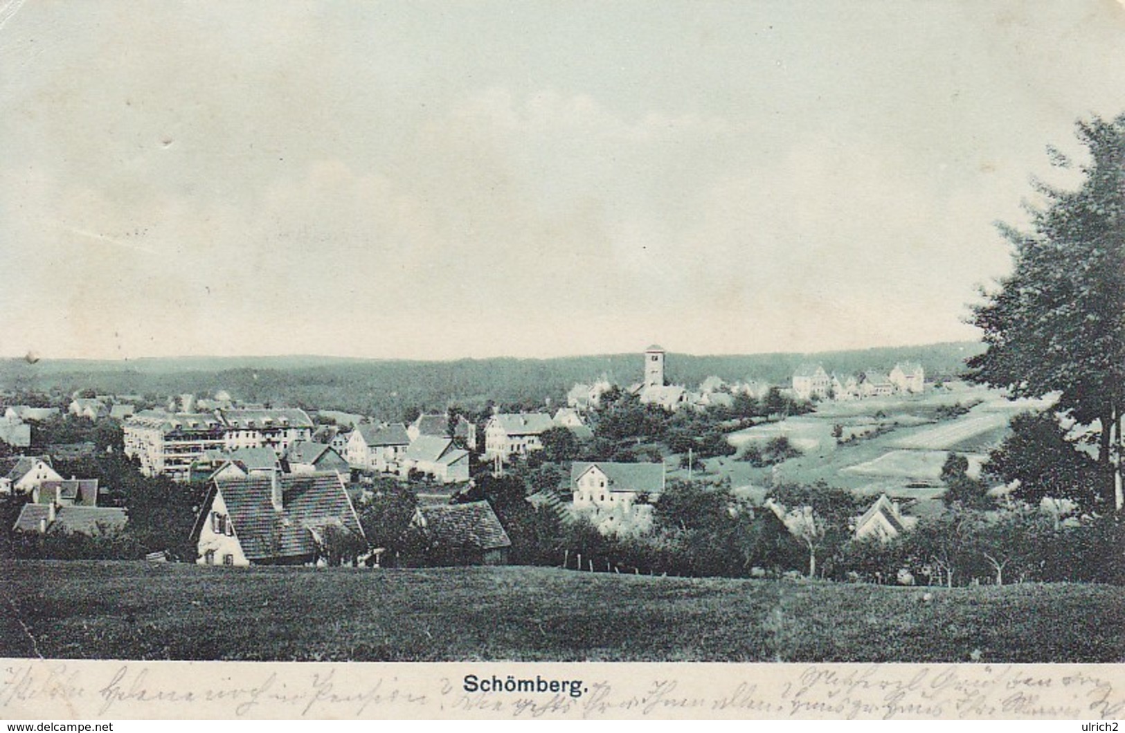 AK Schömberg - O. A. Neuenbürg - 1908 (36006) - Schömberg