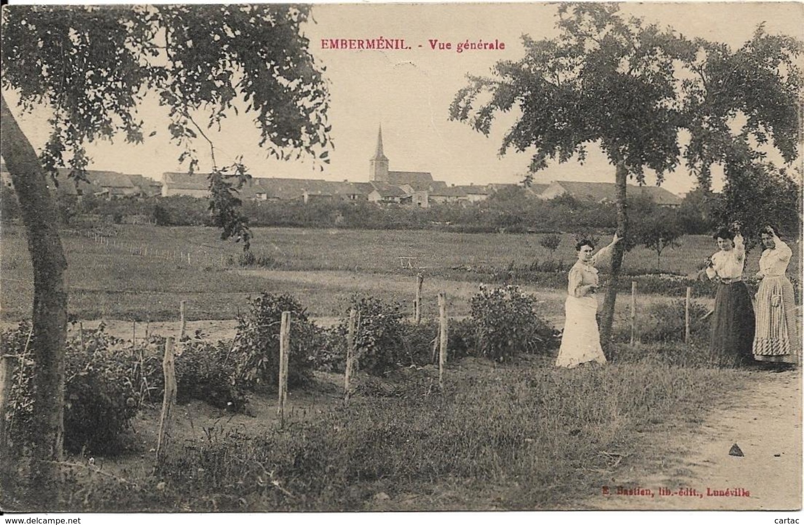 D54 - EMBERMENIL - VUE GENERALE - Femmes Tenant Le Tronc Et Les Branches D'un Arbre - Autres & Non Classés