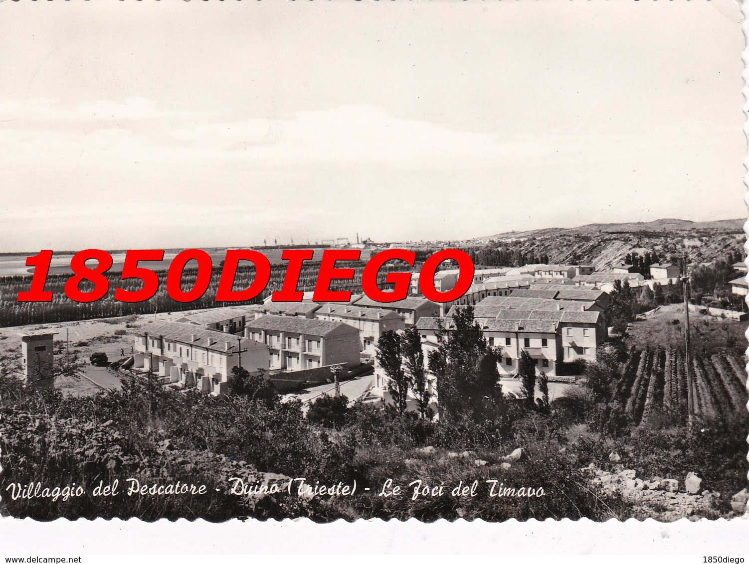 VILLAGGIO DEL PESCATORE - DUINO - LE FOCI DEL TIMAVO F/GRANDE VIAGGIATA 1962 - Trieste