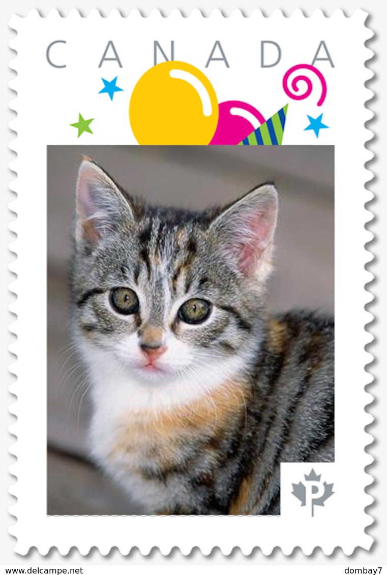 CAT, Cute KITTEN = Personalized Picture Postage Stamp, MNH Canada 2018 [p18-07s20] - Domestic Cats