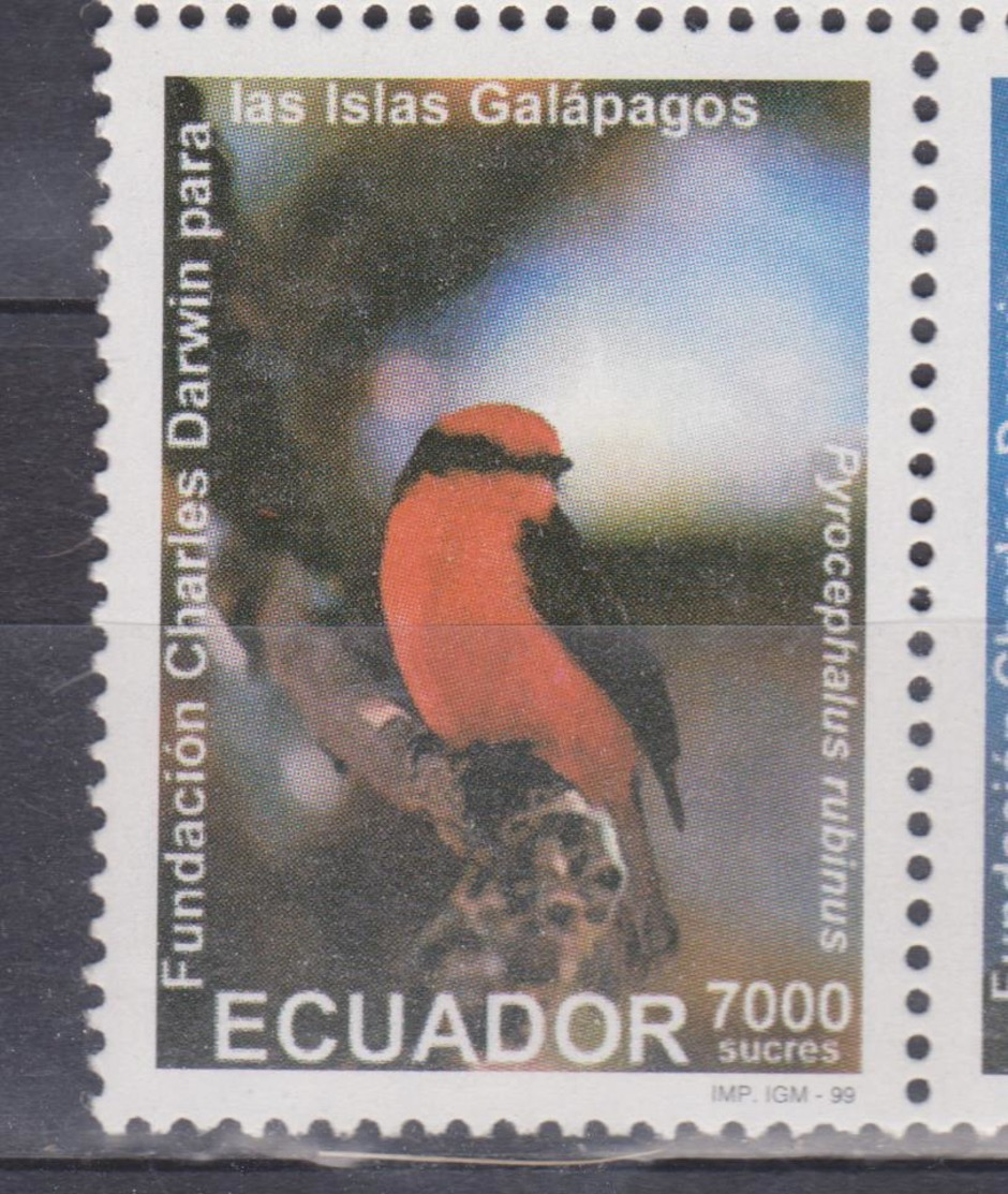 ECUADOR 1999 GALAPAGOS ISLANDS 40TH ANNIVERSARY OF CHARLES DARWIN FOUNDATION WITCH BIRD MNH SC# 1491 F. - Equateur