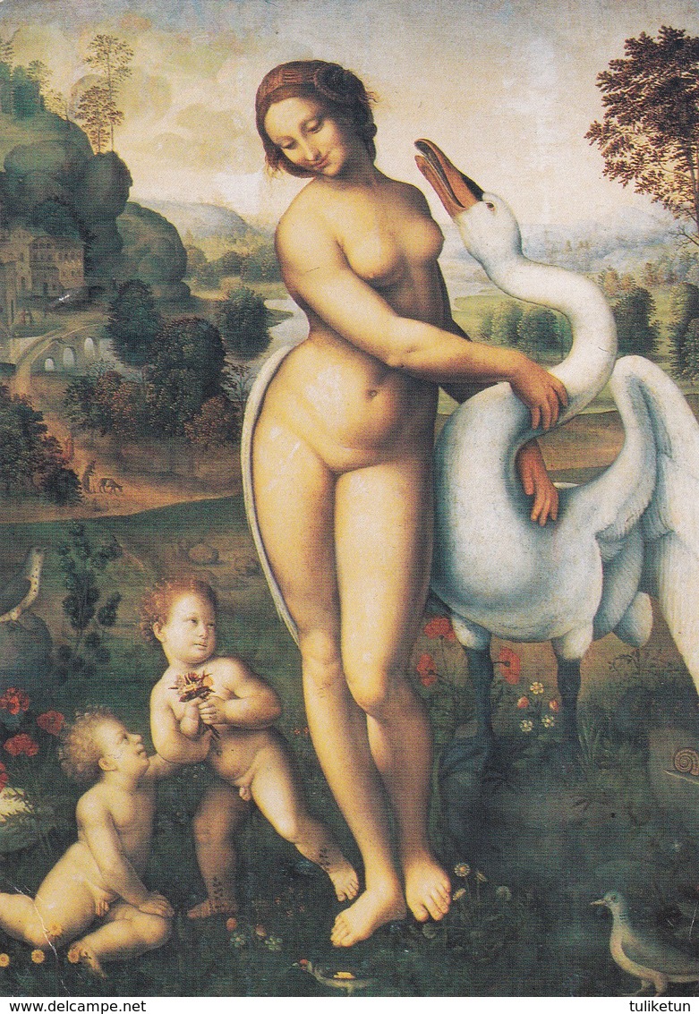 Swan - Zwaan - Schwan - Cygne - Cigno - Cisne - Animal - Animaux - Fauna - Faune - Bugiardini Leda By Leonardo Da Vinci - Uccelli