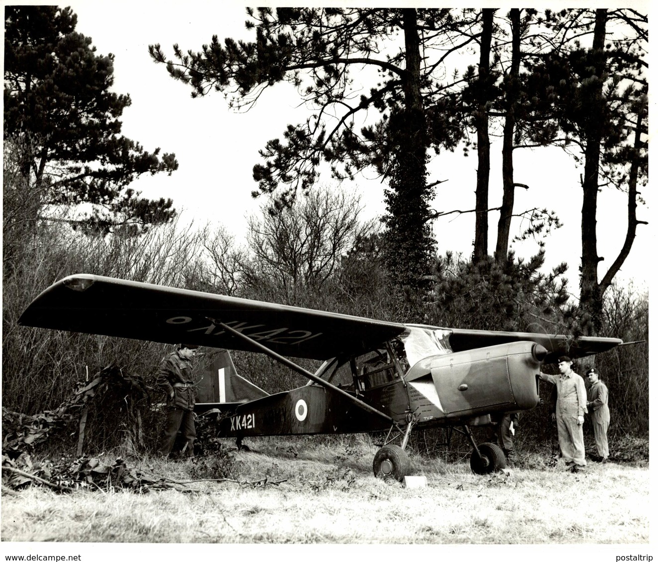 AUSTER AOP9    ++  25 * 20 CM AUSTER AIRCRAFT ARMY - Aviación