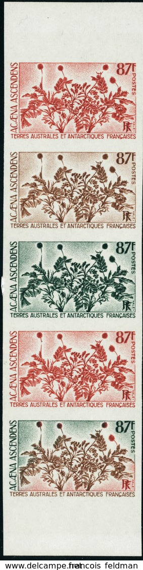 Neuf Sans Charnière N° 52/53. La Paire, Chaque En Bande Verticale De 5 Ex Non Dentelés, Essais De Couleurs, BdF, Superbe - Altri & Non Classificati