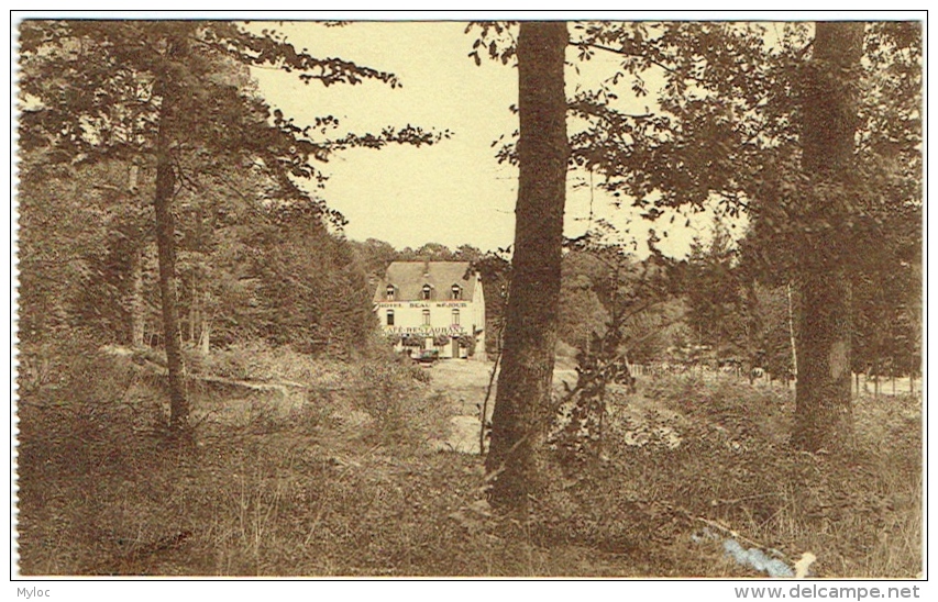 Châtillon. Hôtel Beau Séjour. Sous-Bois. - Saint-Léger