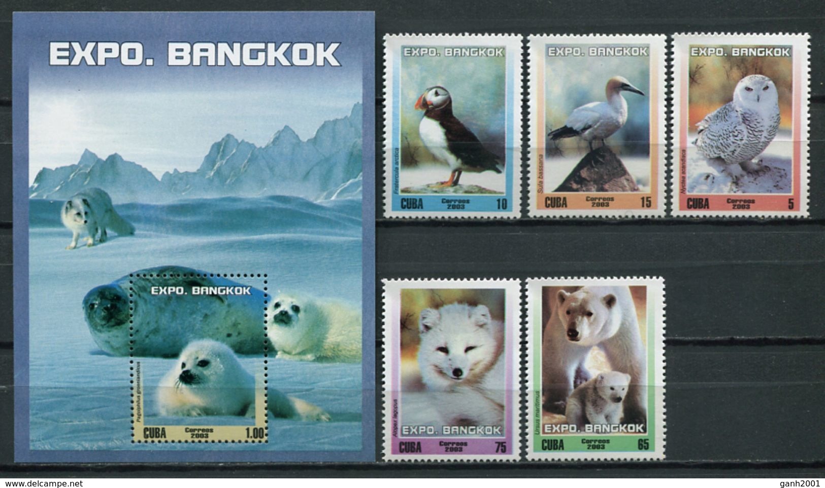 Cuba 2003 / Polar Mammals Birds MNH Säugetiere Vögel Aves Mamiferos / Cu5814  31 - Autres & Non Classés